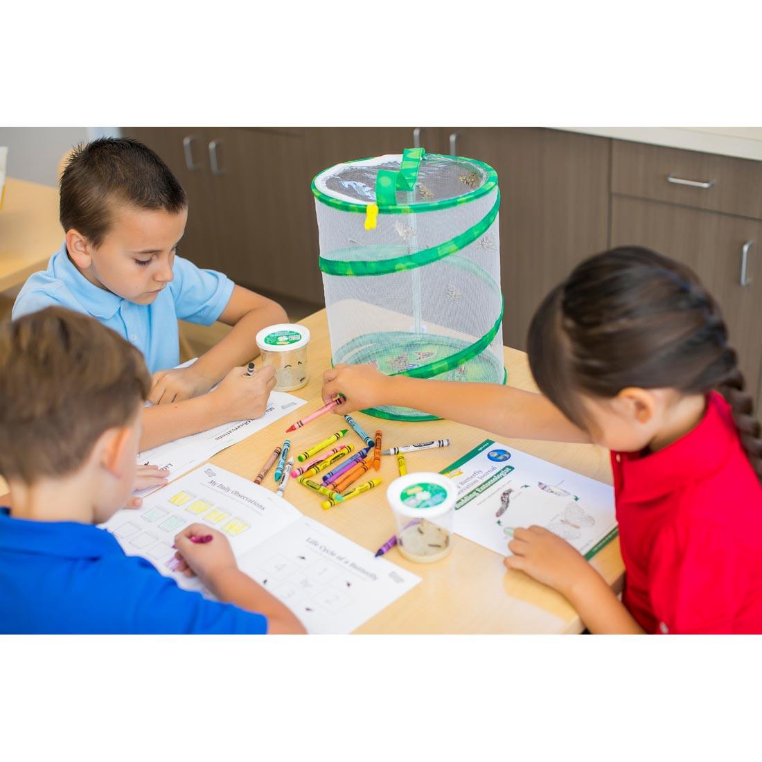 3 children sitting at a table working on their butterfly observation journal, with a Live Butterfly Garden shown on the table