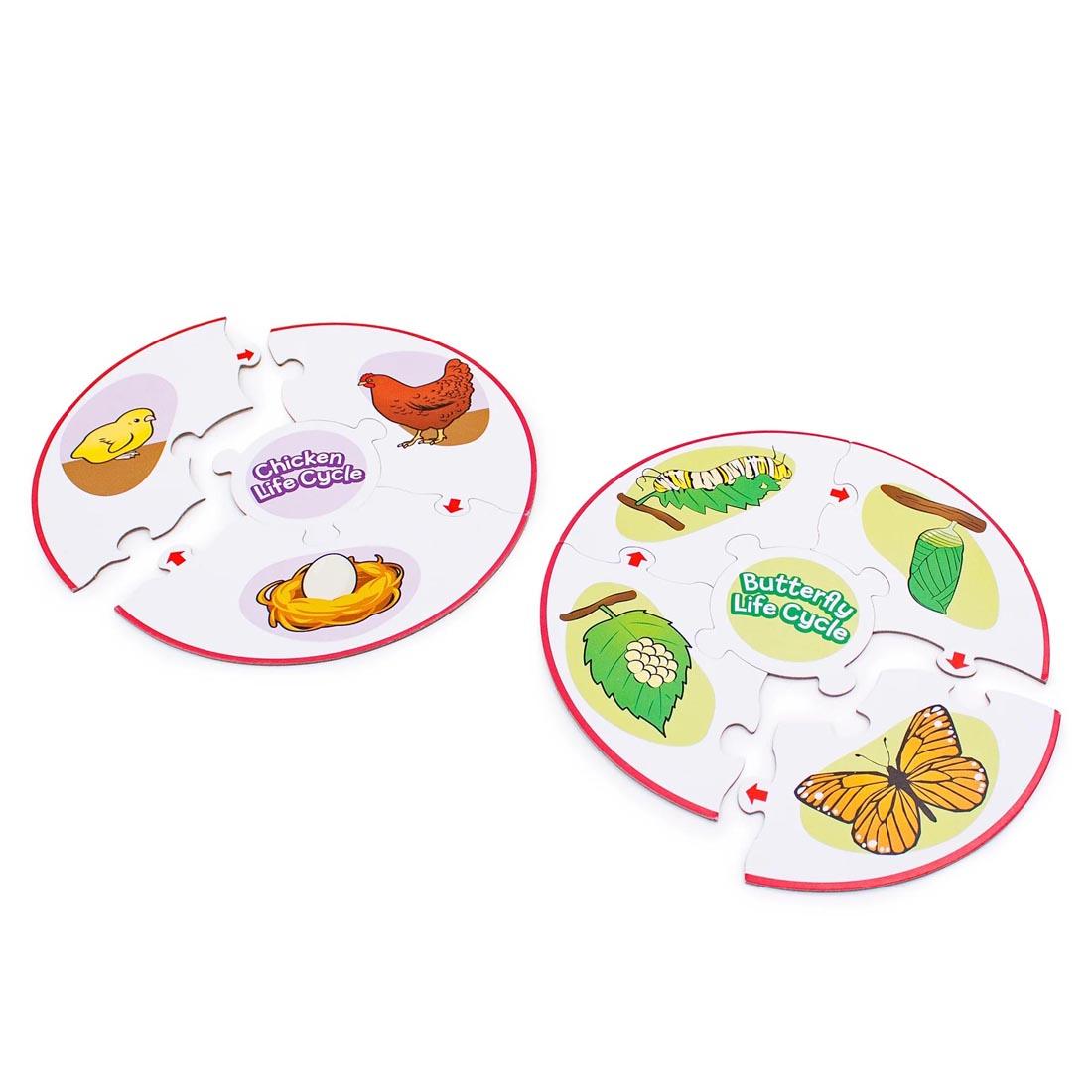 Chicken and Butterfly Life Cycle Puzzles By Junior Learning