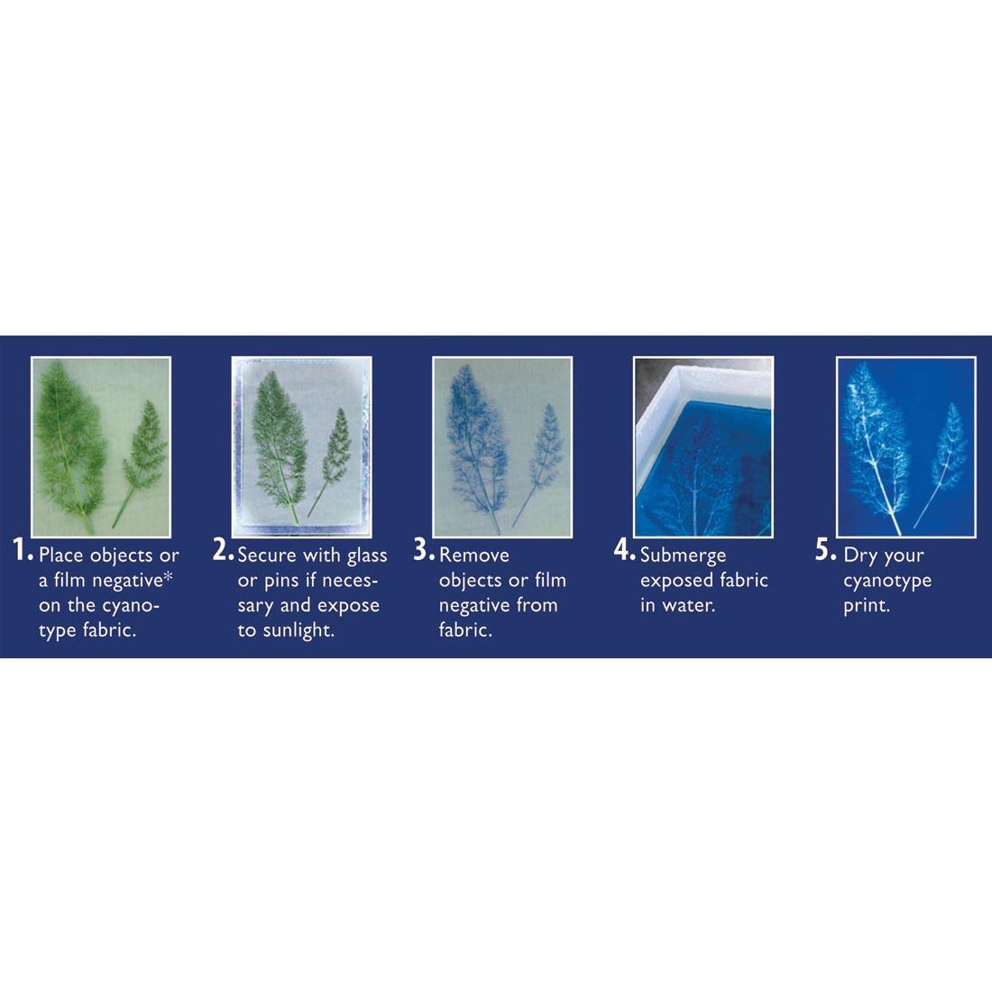 pictures of each of the 5 cyanotype steps with directions