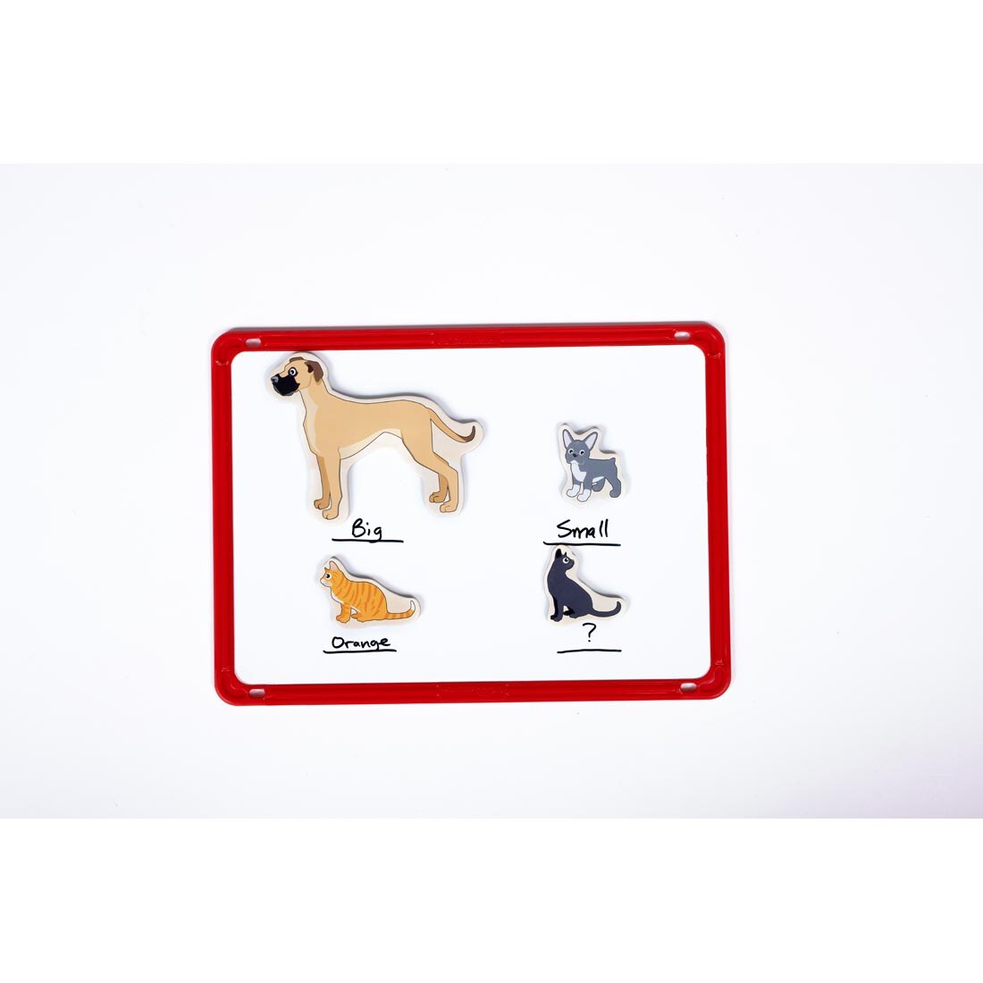 2 Cats & 2 Dogs Wooden Magnets on a whiteboard