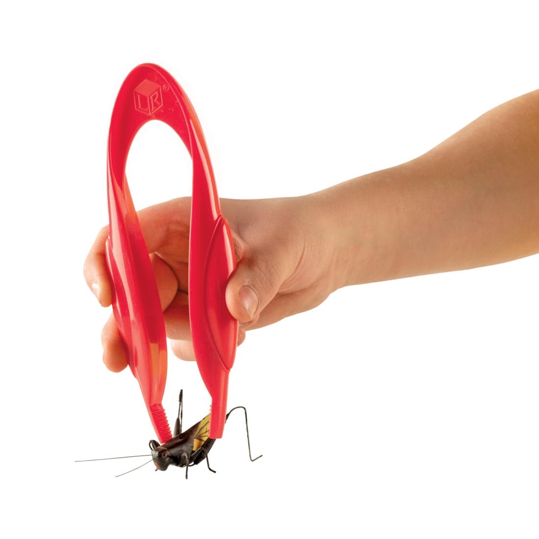 Jumbo plastic tweezers about to pick up a large bug