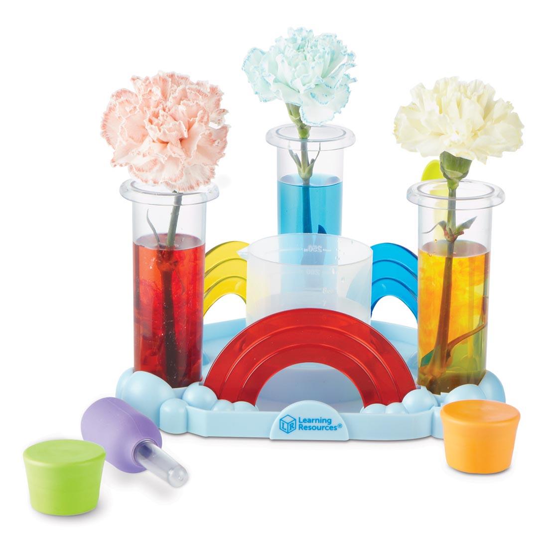 3 test tubes with colored water, Rainbow Reactions Preschool Science Lab tray, fine motor dropper and test tube lids