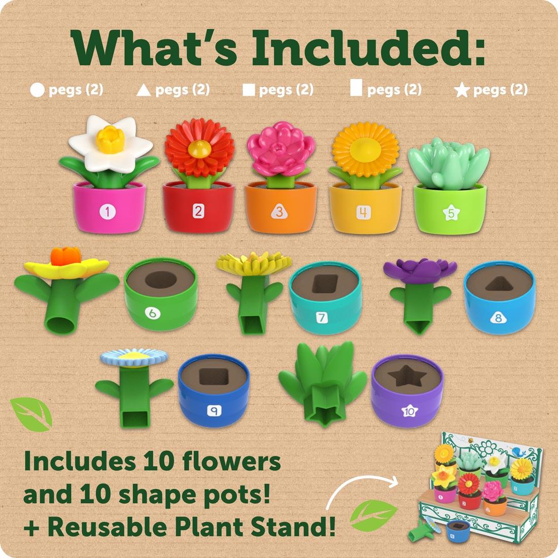 components of the Shape & Color Garden By Learning Resources plus text What's included: Includes 10 flowers and 10 shape pots! + Reusable Plant Stand! also shows 5 different shapes of pegs