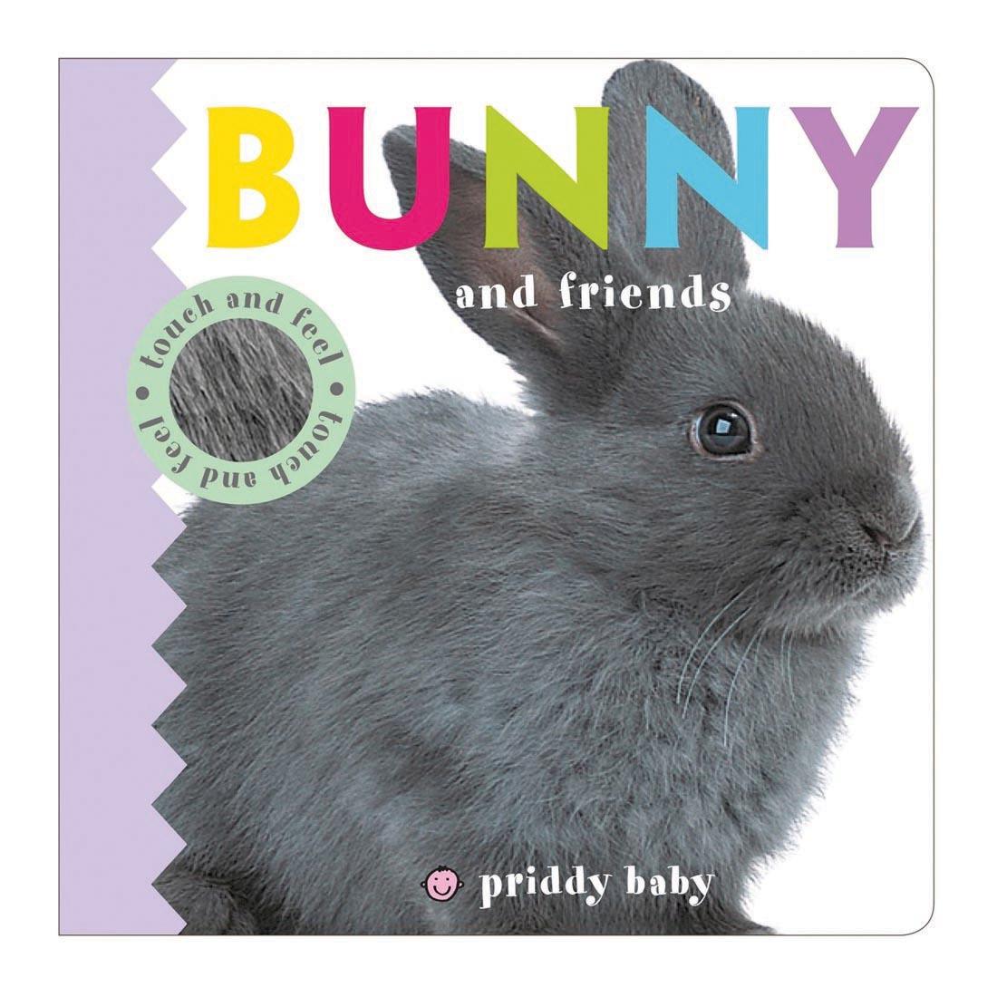 front cover of Bunny And Friends Touch And Feel Board Book