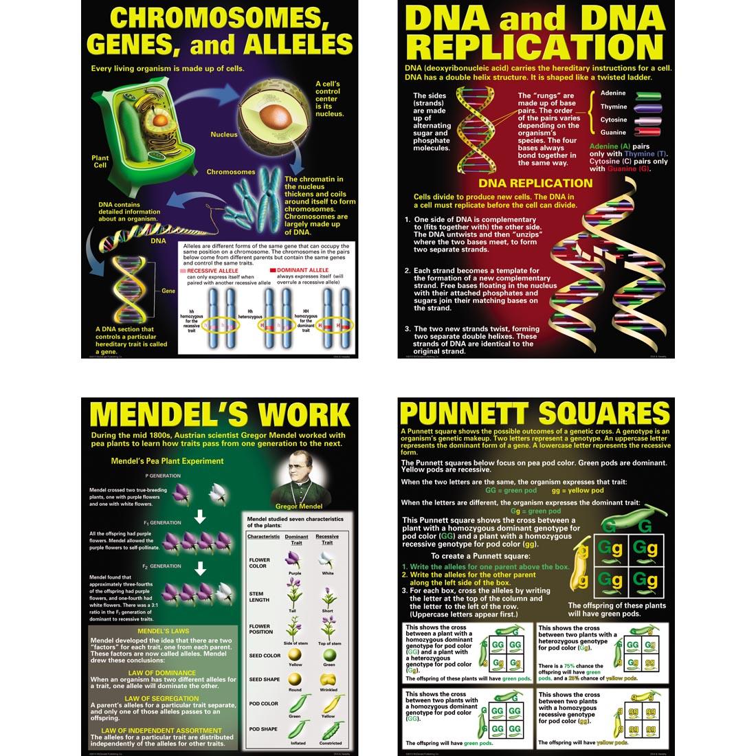 DNA & Heredity Poster Set