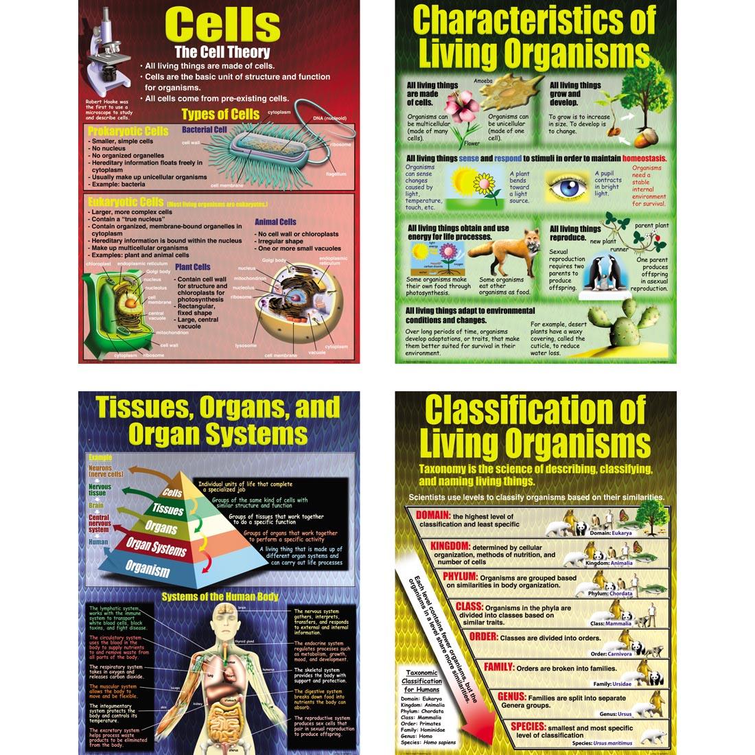 Living Organisms Poster Set