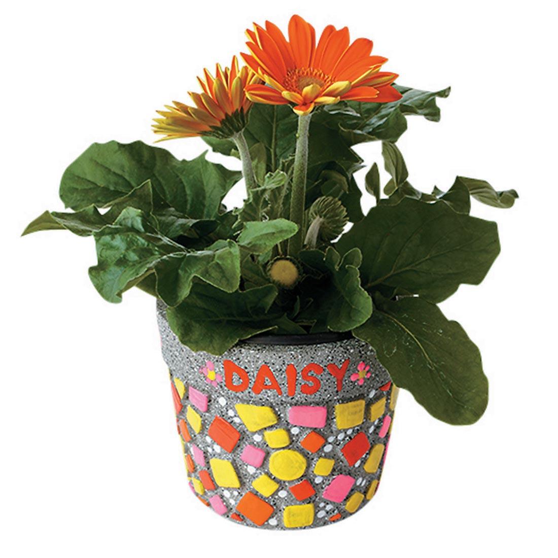 Completed Paint Your Own Stone Mosaic Flower Pot by Mindware shown in use
