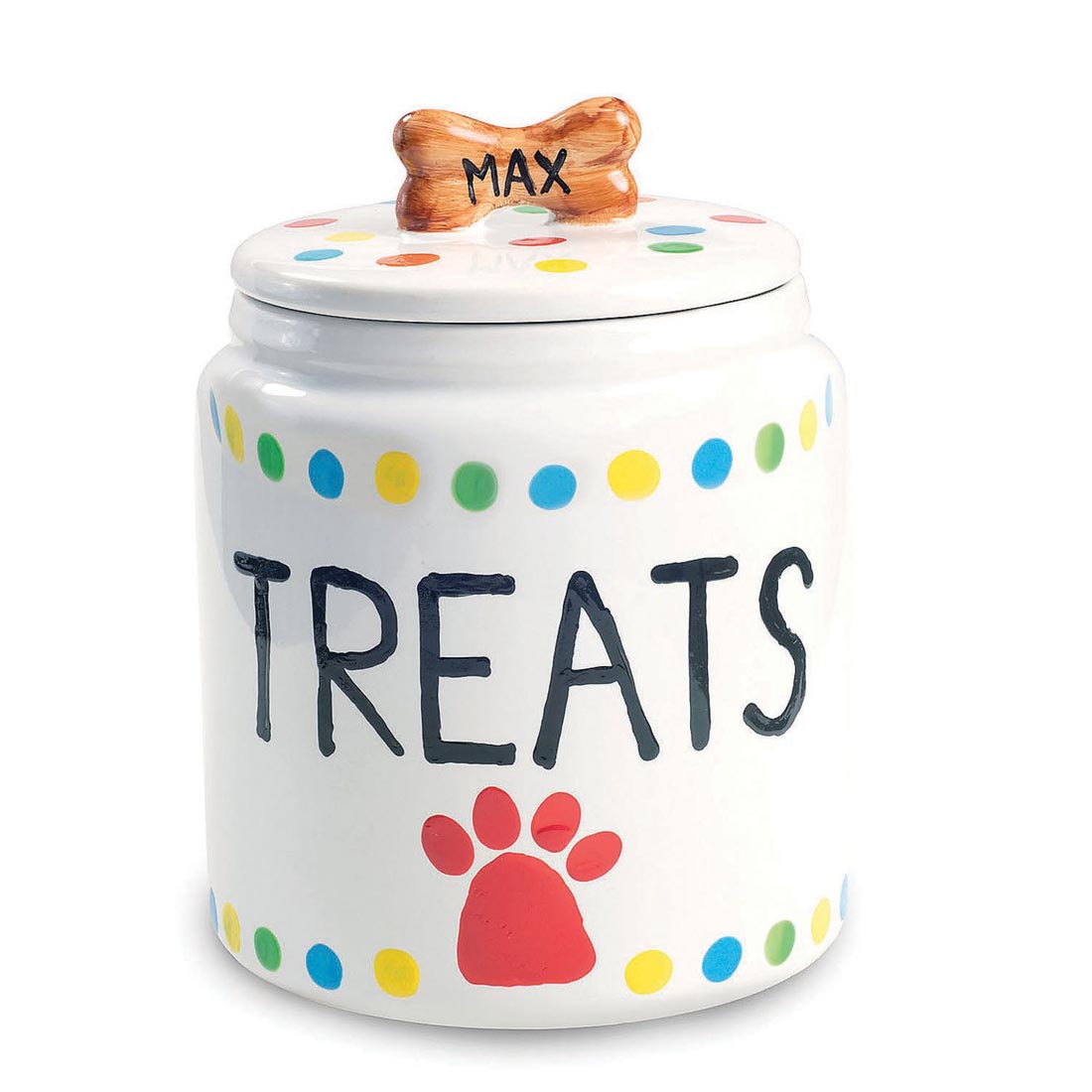 Completed project from the Paint Your Own Porcelain Dog Treat Jar Kit