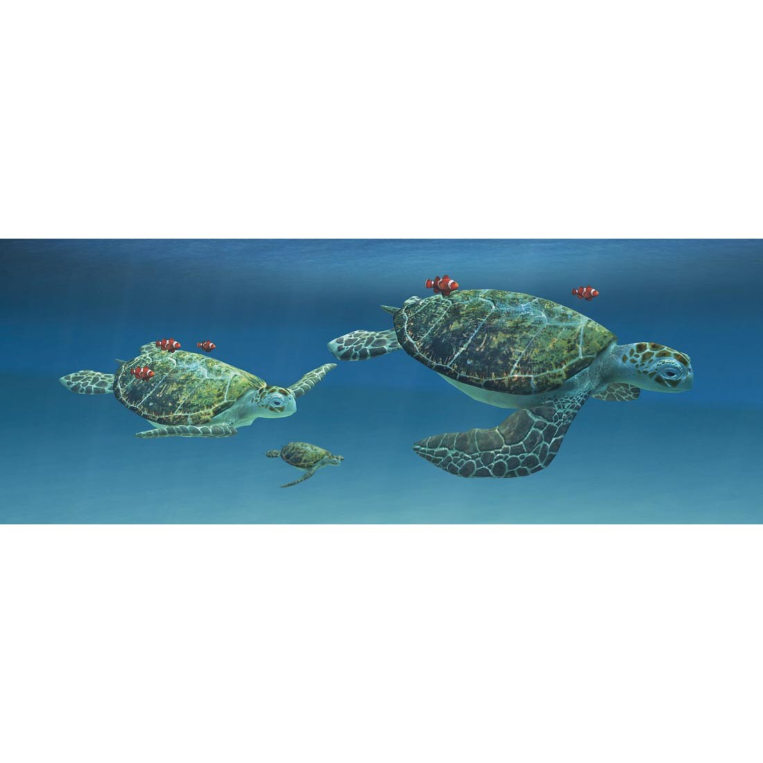 Sea Turtles Lenticular Motion Bookmark