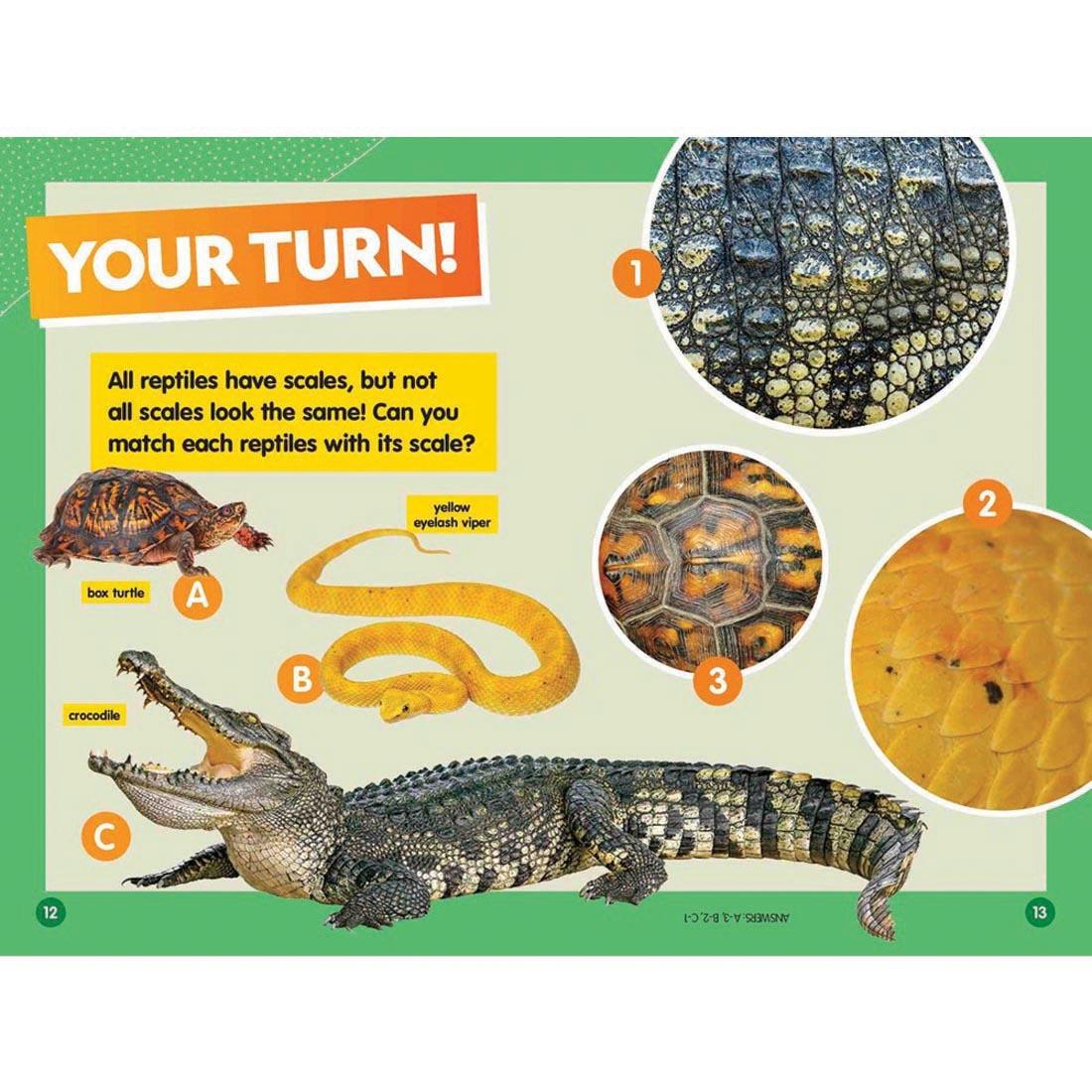 pages 12 & 13 from Reptiles National Geographic Reader Level 1