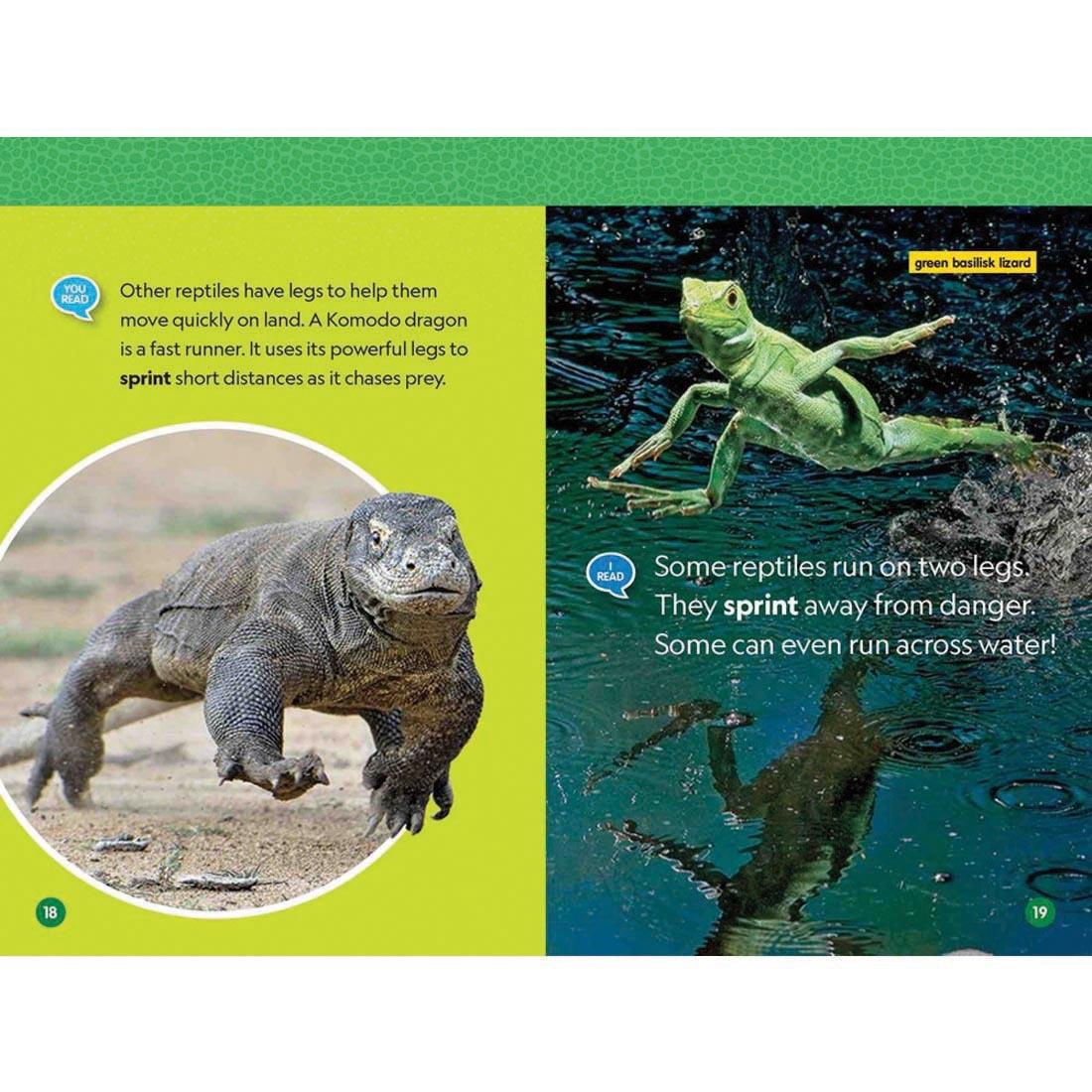 pages 18 & 19 from Reptiles National Geographic Reader Level 1