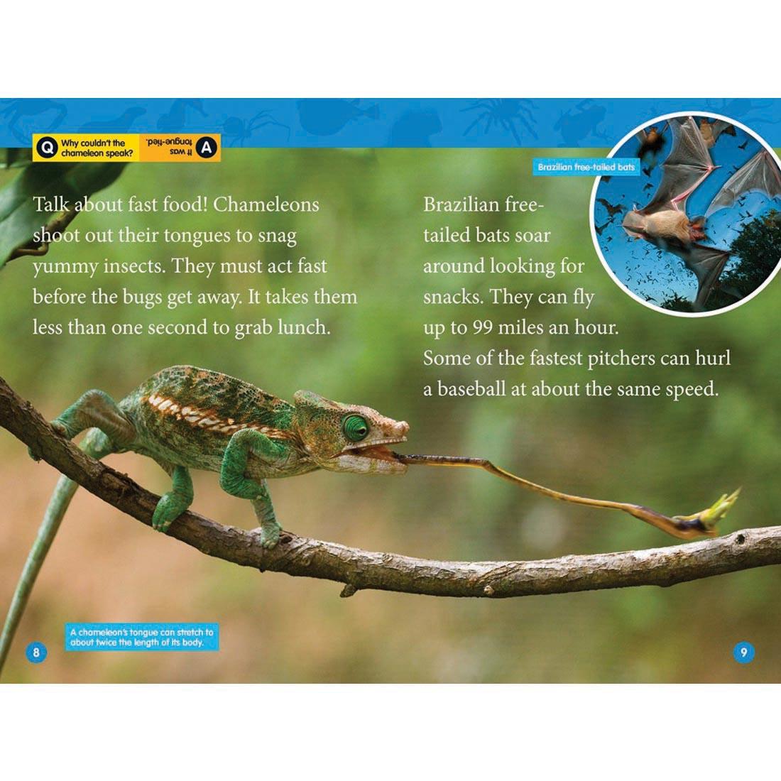 pages 8 & 9 from Animal Superpowers National Geographic Reader Level 2