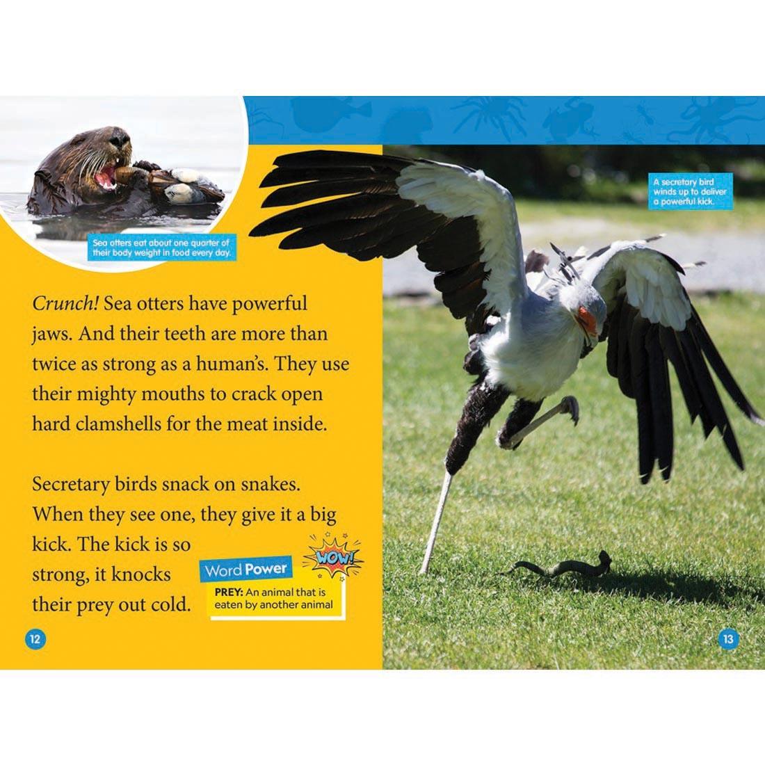 pages 12 & 13 from Animal Superpowers National Geographic Reader Level 2