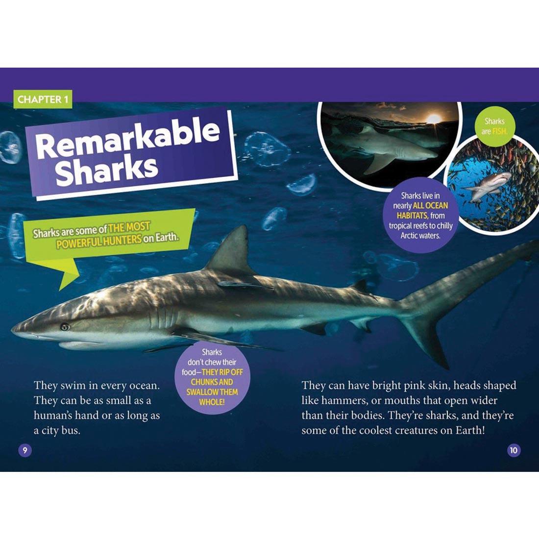 pages 9 & 10 from Sharks! National Geographic Reader Level 3