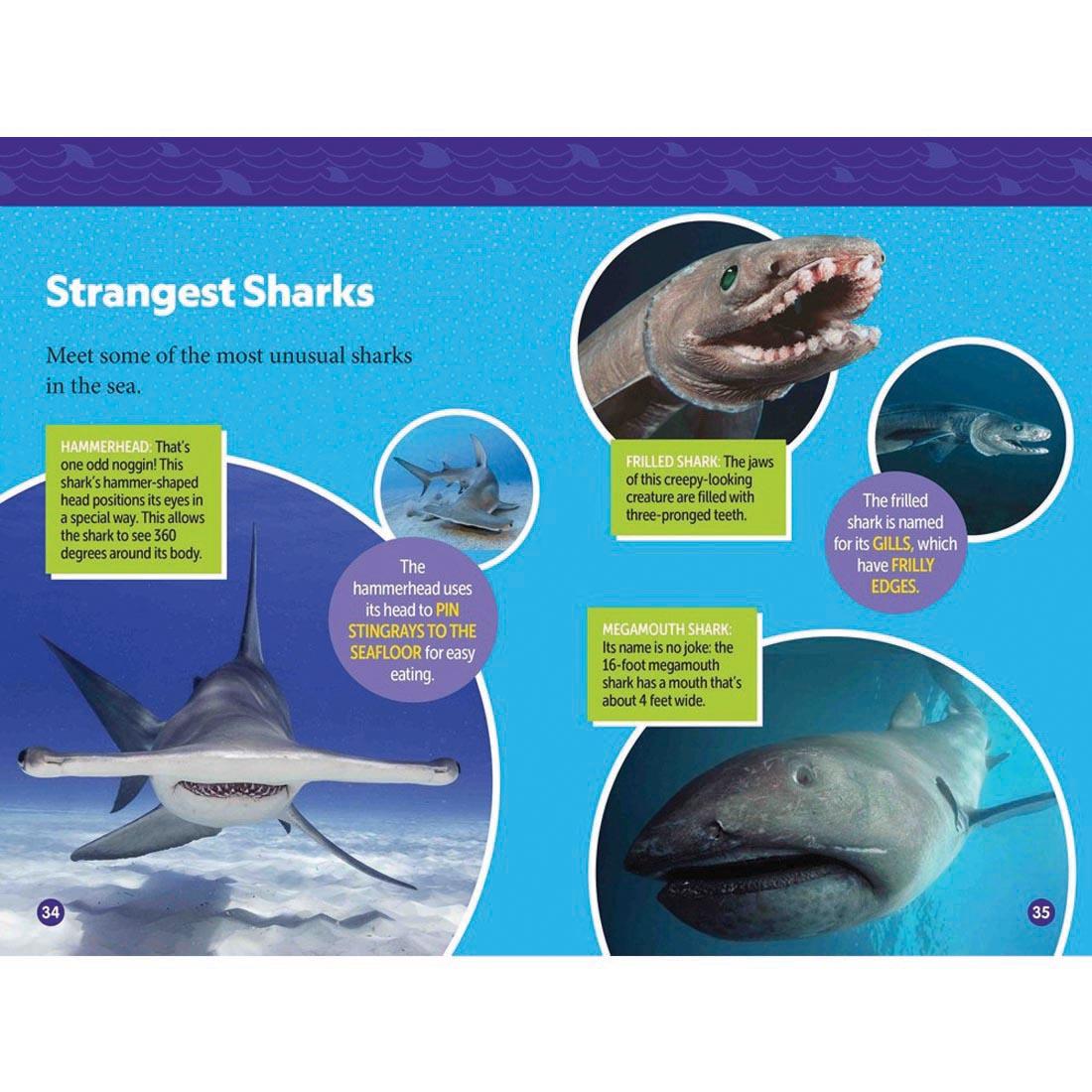 pages 34 & 35 from Sharks! National Geographic Reader Level 3