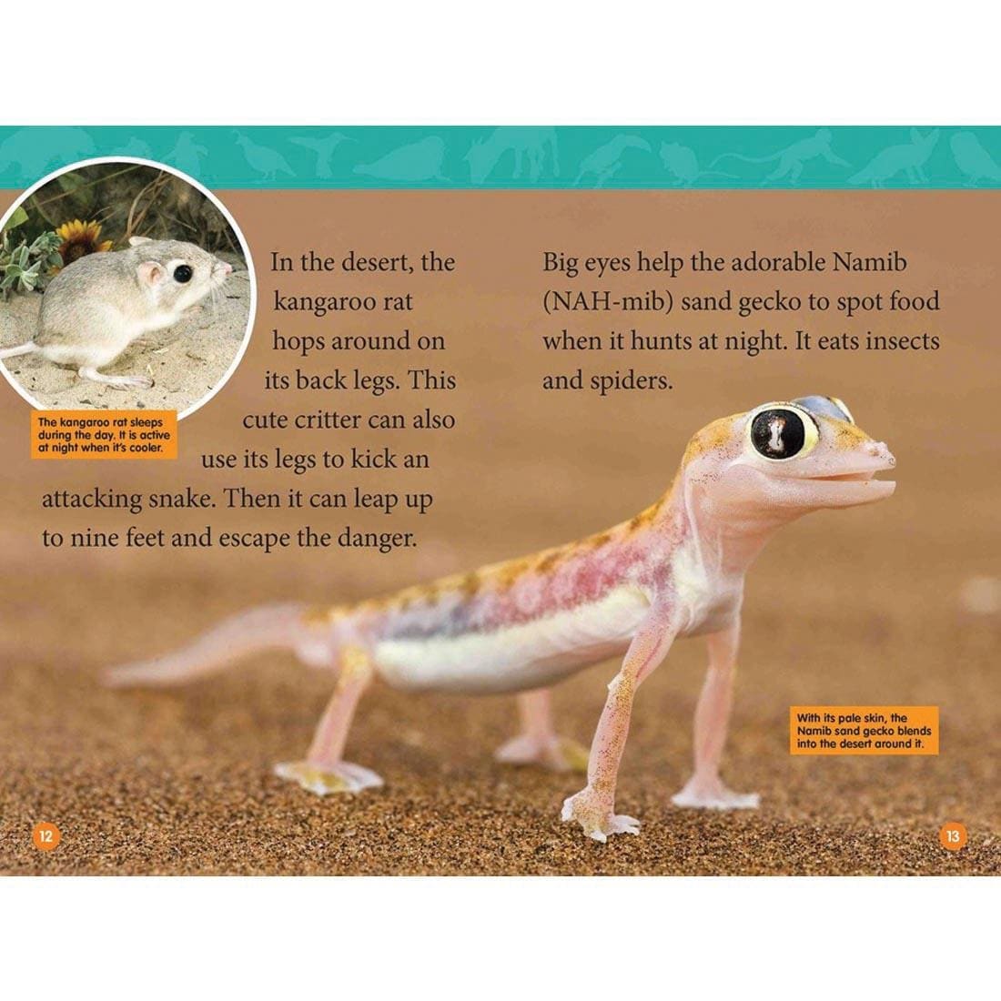 pages 12 & 13 from Adorable Animals National Geographic Reader Level 2