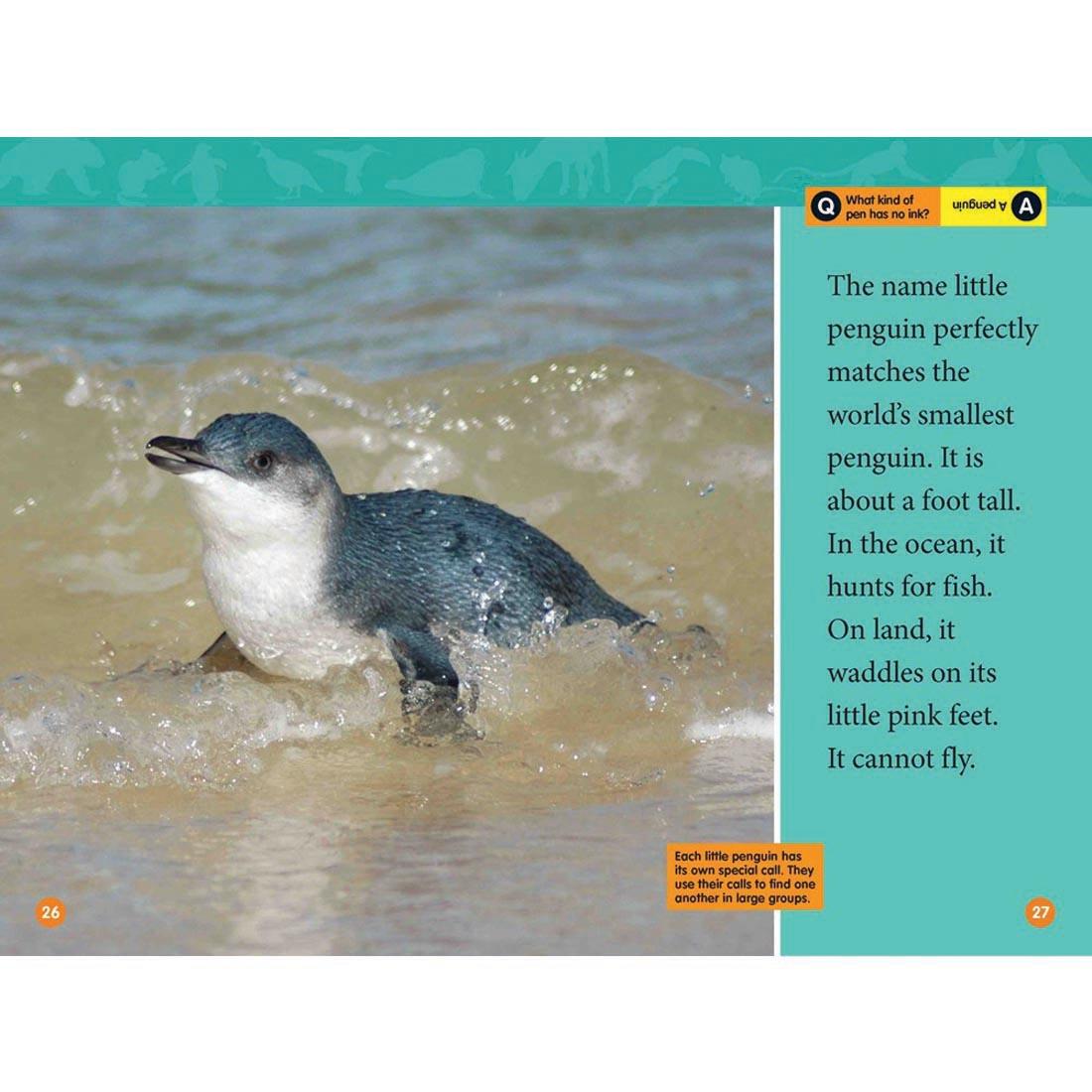 pages 26 & 27 from Adorable Animals National Geographic Reader Level 2