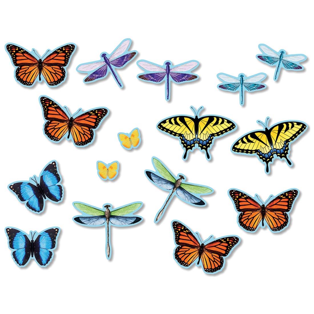 Butterflies & Dragonflies Bulletin Board Accents By North Star Teacher Resources