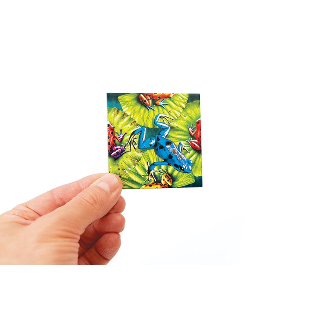 hand holding up a piece from the Frogs 25-Piece Magic Square Tile Puzzle