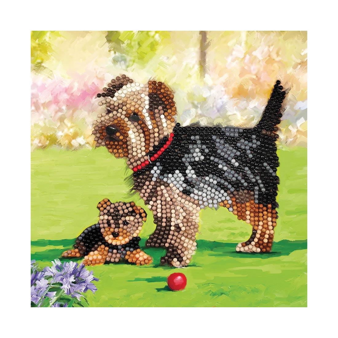 front of a completed Crystal Art Dogs Card