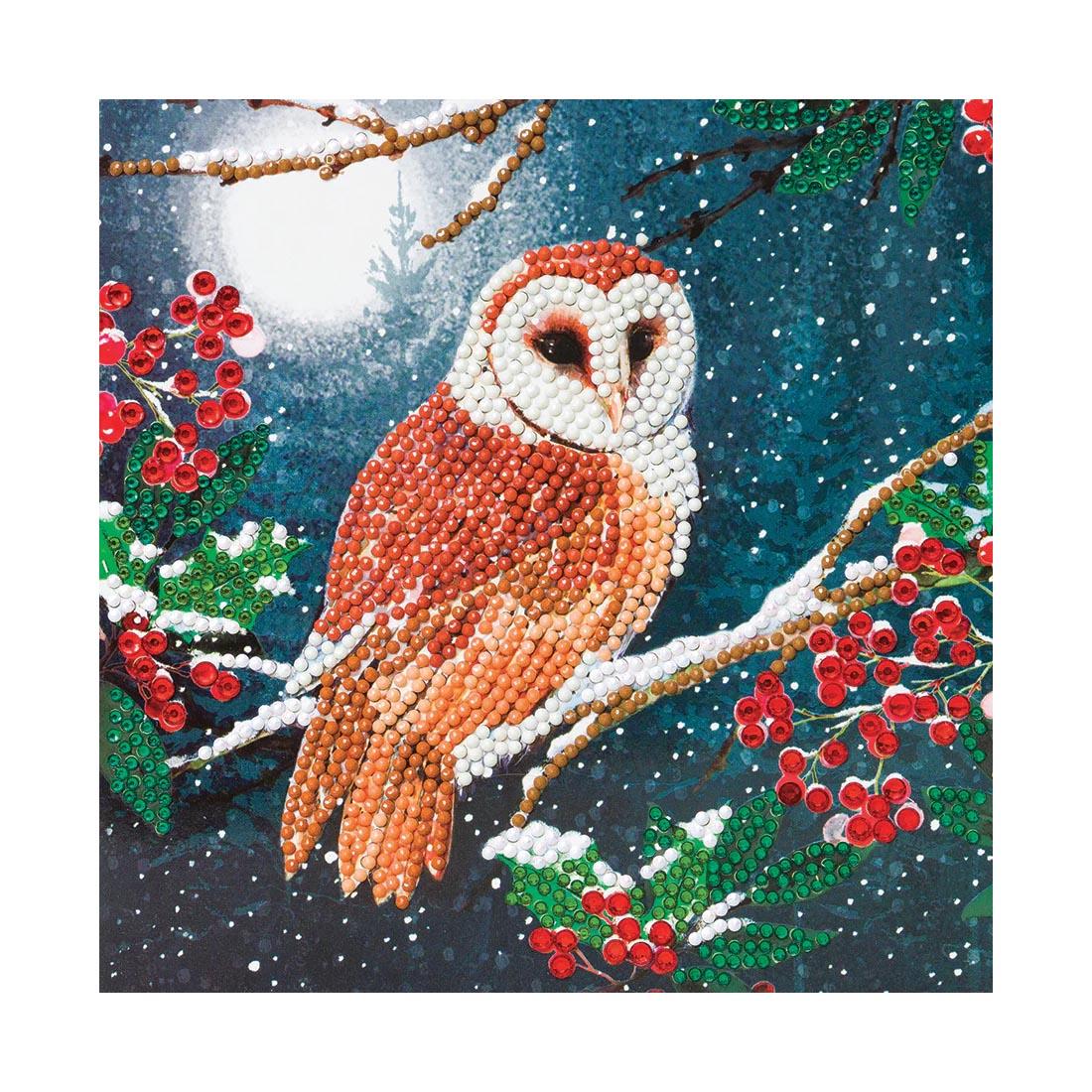 front of a completed Crystal Art Barn Owl Card