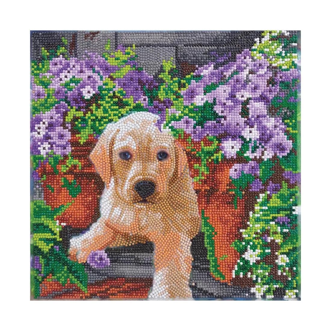 completed example of the Crystal Art Floral Pup Framed Canvas Kit