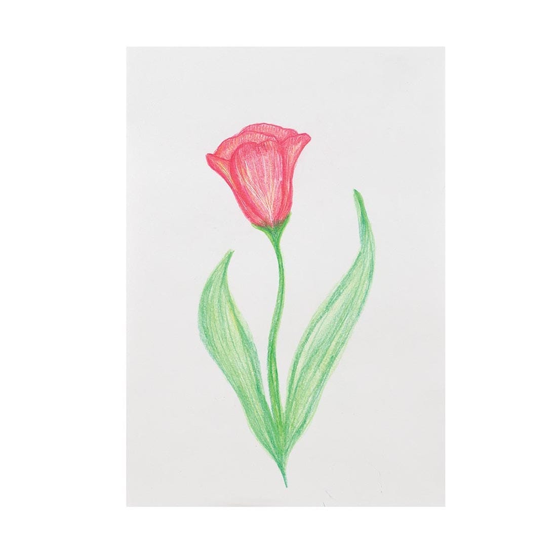flower drawn on Pacon Pure Sulphite Paper Medium Weight