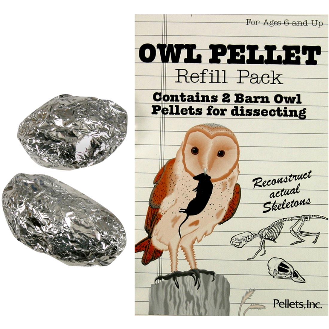 Barn Owl Pellets