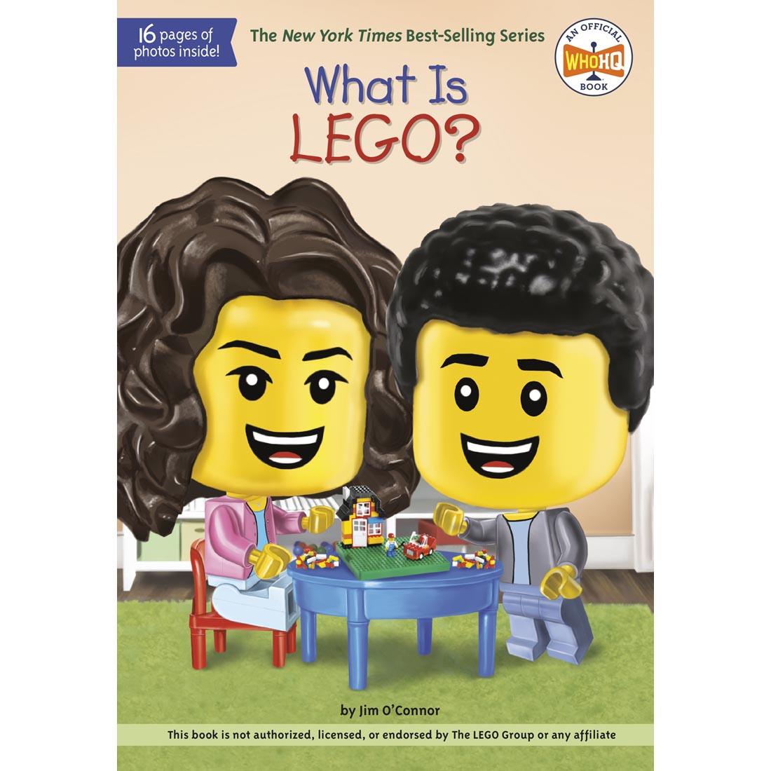 What Is LEGO? Book