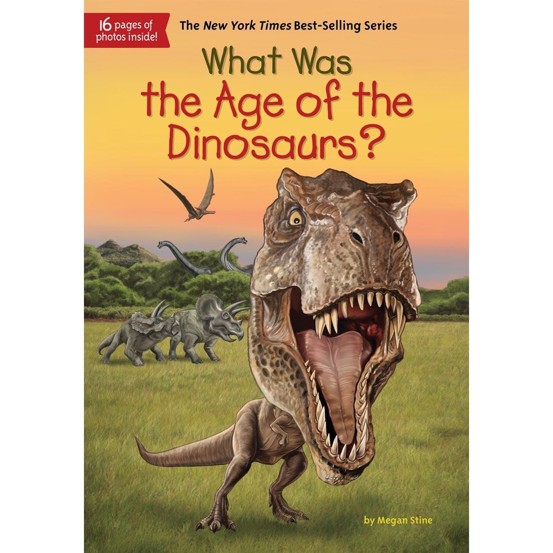 What Was The Age Of The Dinosaurs? Paperback Book