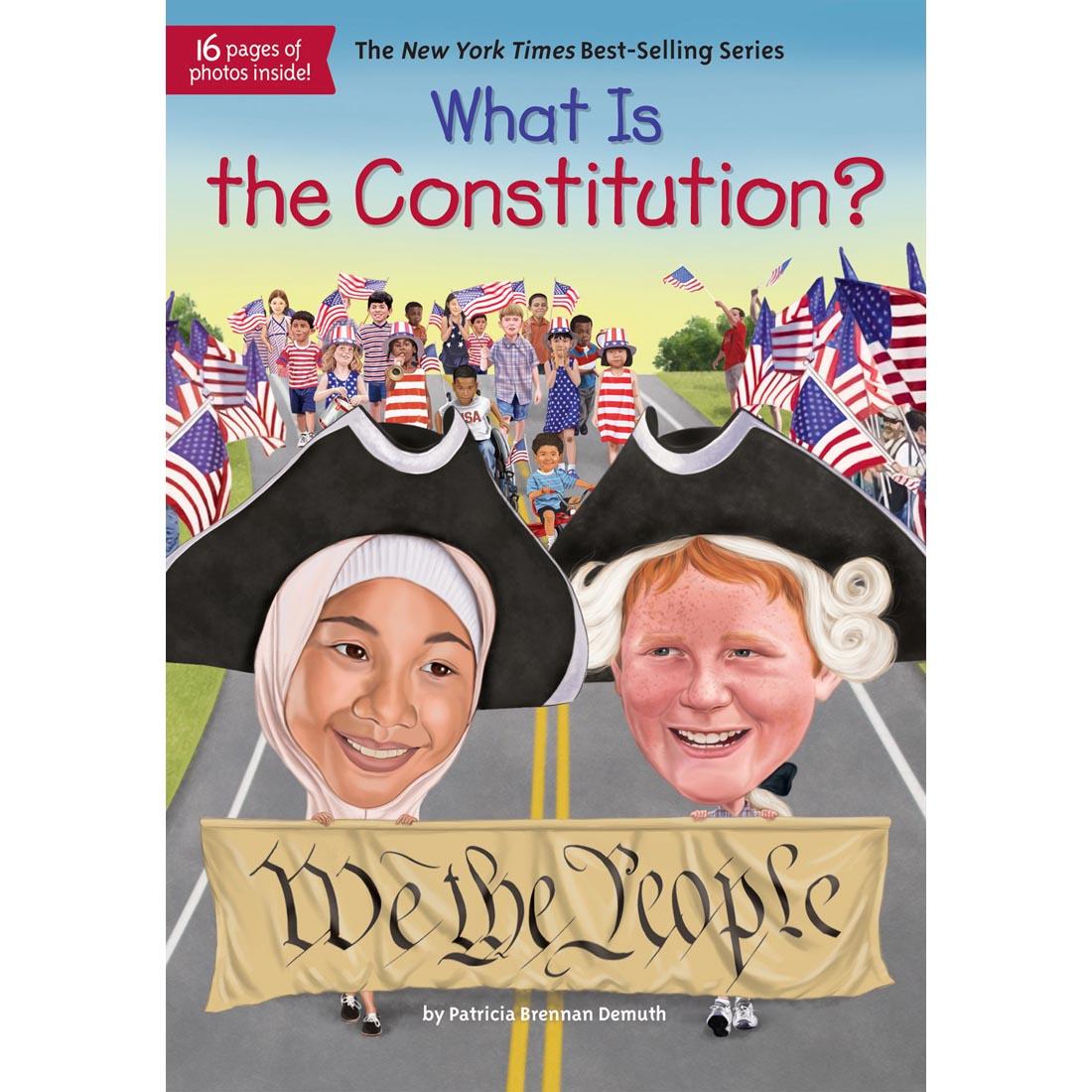What Is The Constitution? Paperback Book
