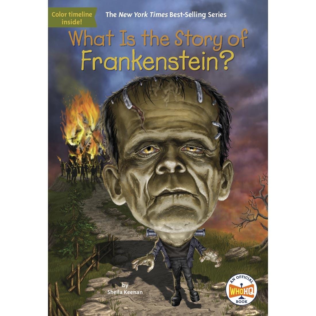 What Is the Story of Frankenstein? Paperback Book