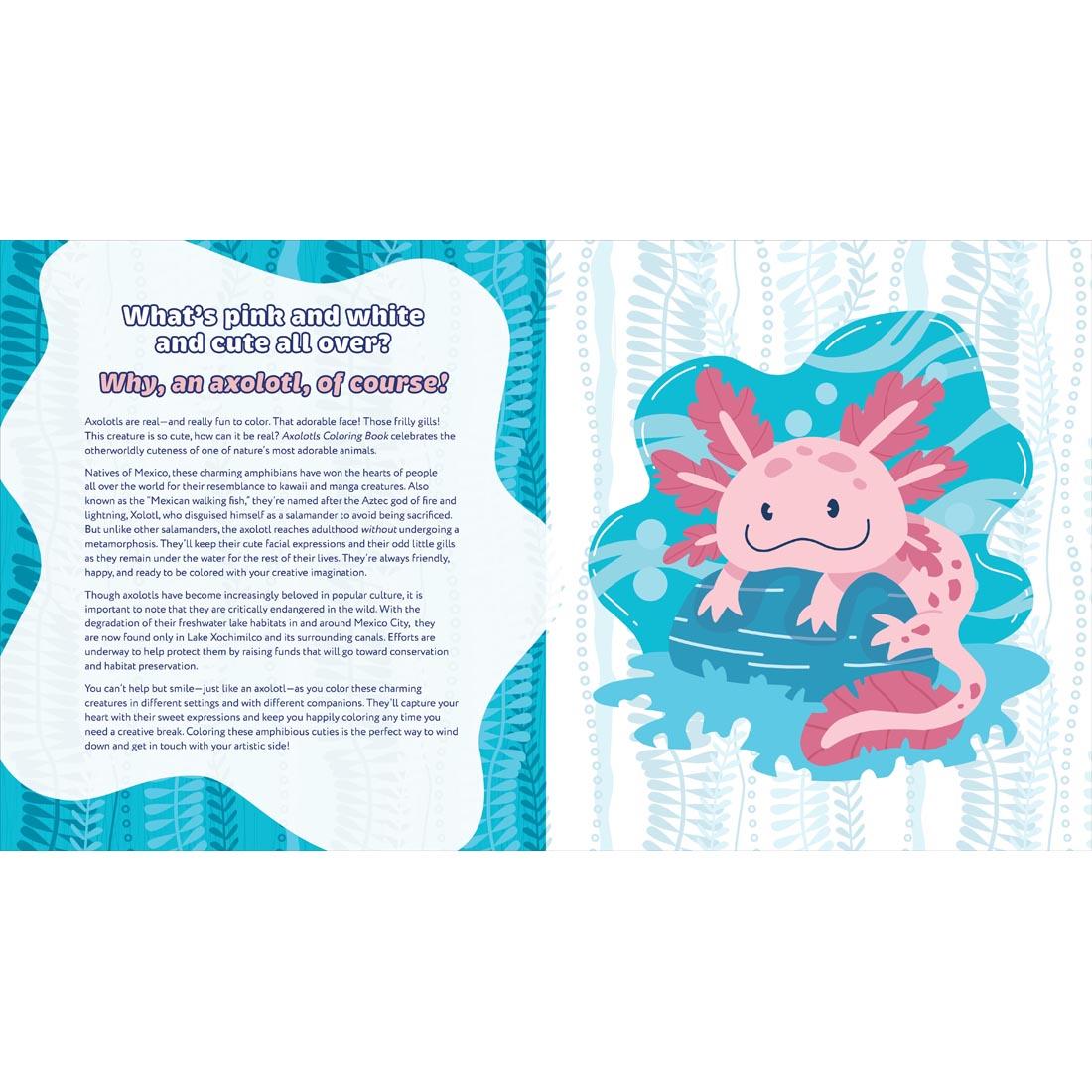 2 pages from the Axolotls Coloring Book
