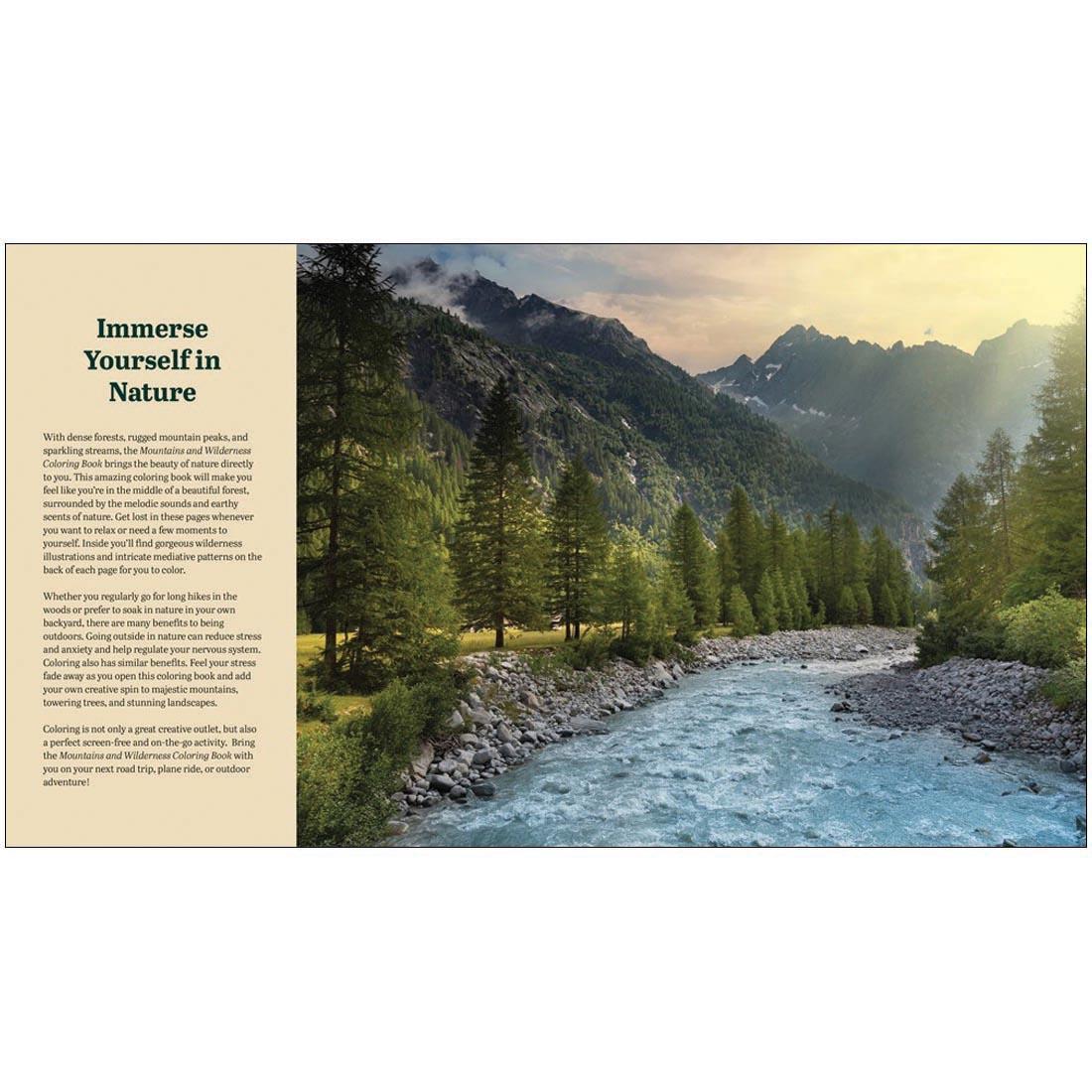 page from inside the Mountains And Wilderness Coloring Book