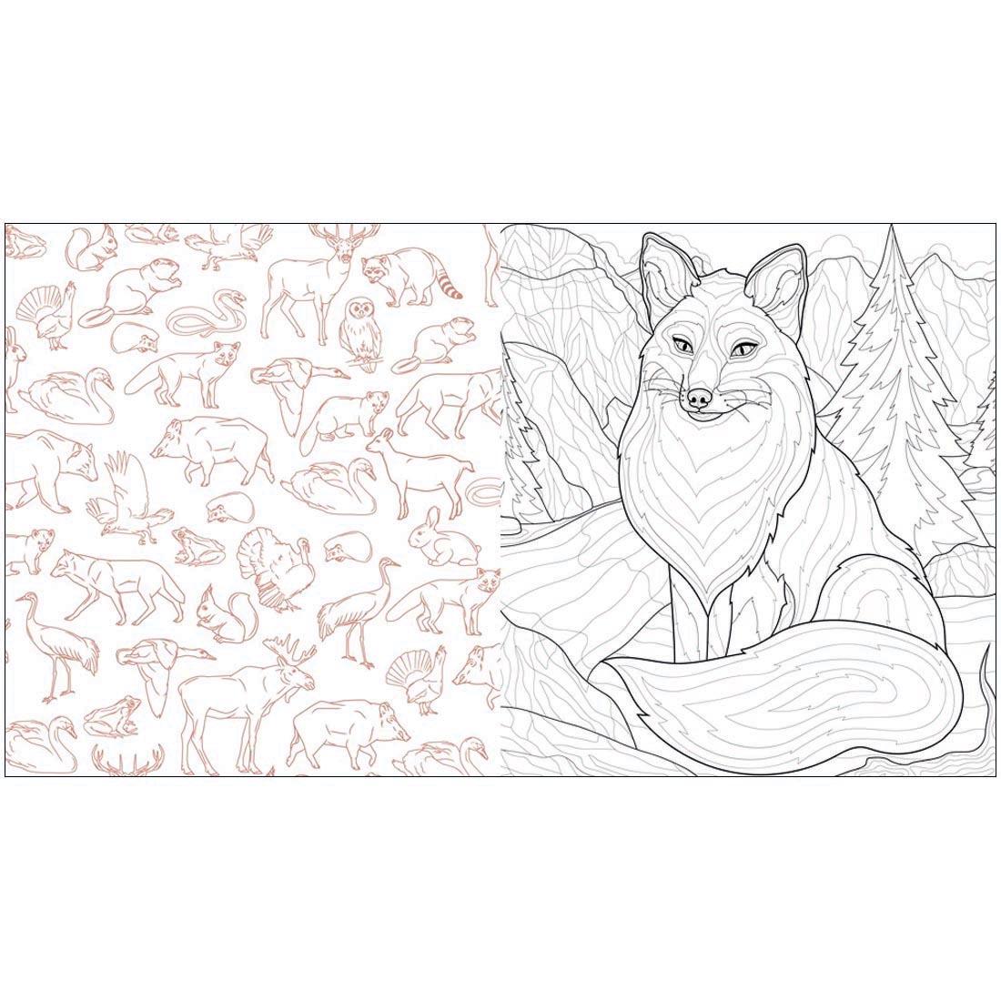 2 pages from the Mountains And Wilderness Coloring Book