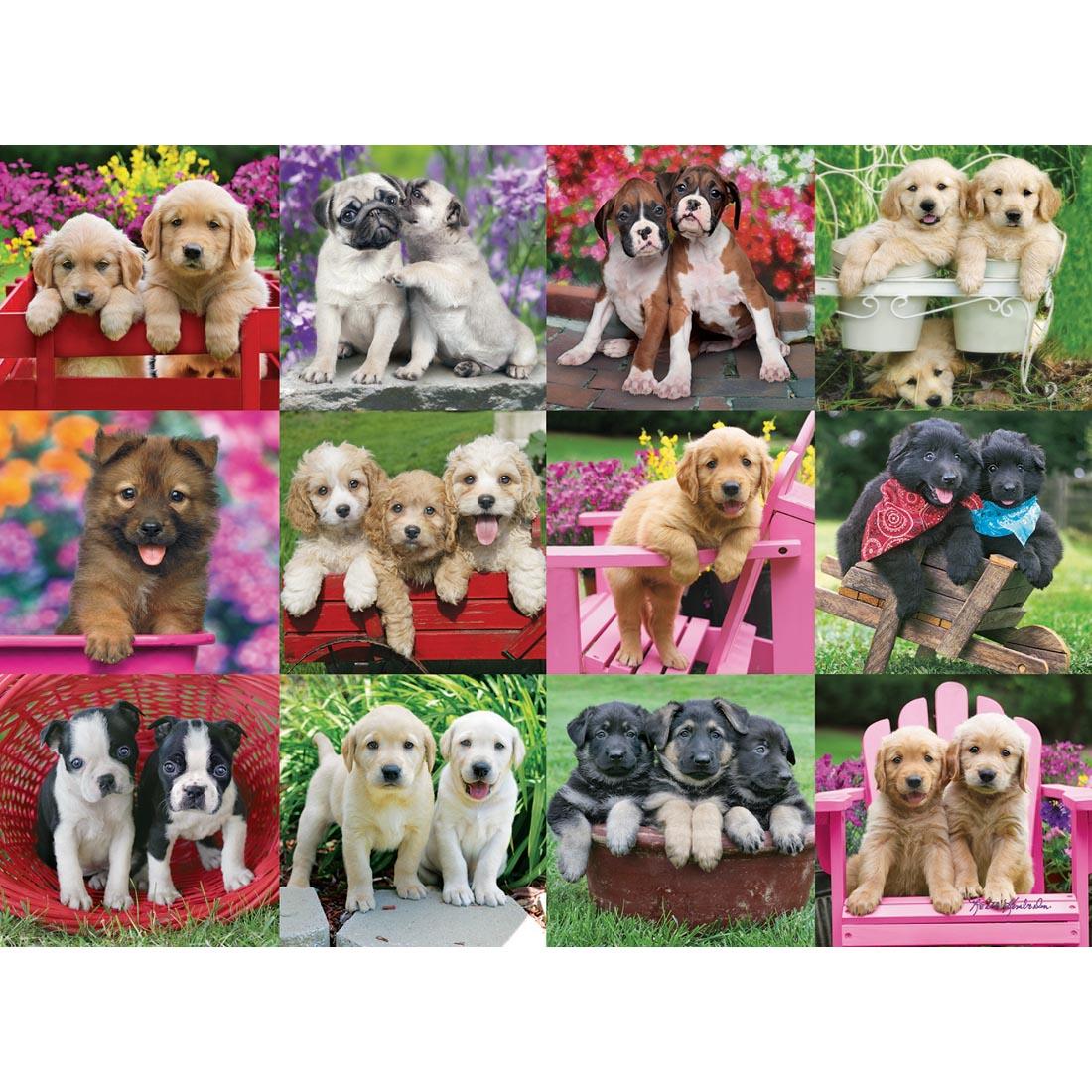 Puppy Pals 500-Piece Puzzle by Ravensburger