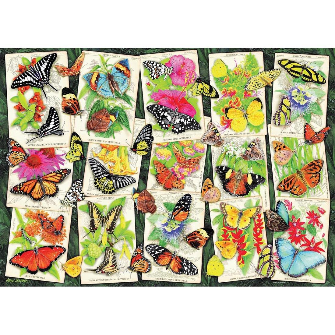 artwork of Tropical Butterflies 1000-Piece Puzzle By Ravensburger