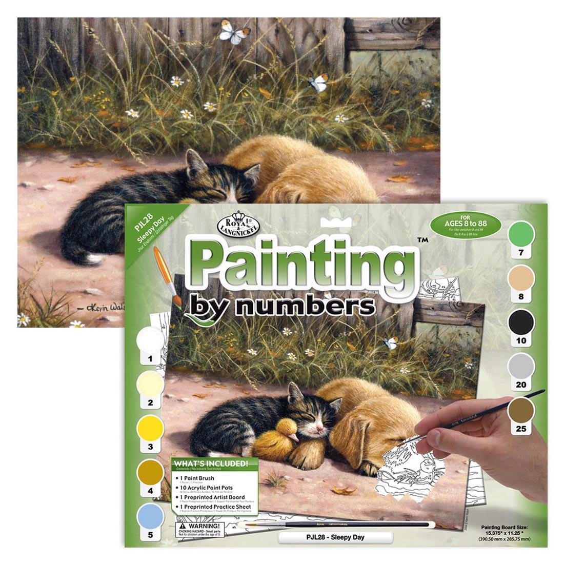 Royal & Langnickel Painting By Numbers Junior Large: Sleepy Day in the package with the completed picture of sleeping cat and dog behind it