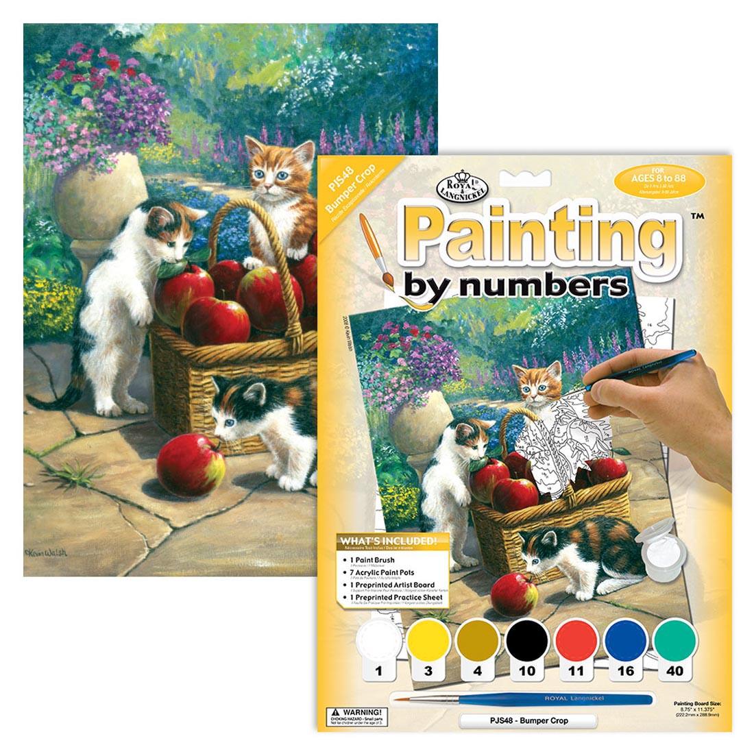 Royal & Langnickel Painting By Numbers Junior Small: Bumper Crop set shown in the package with a completed painting of cats with a basket of apples behind it