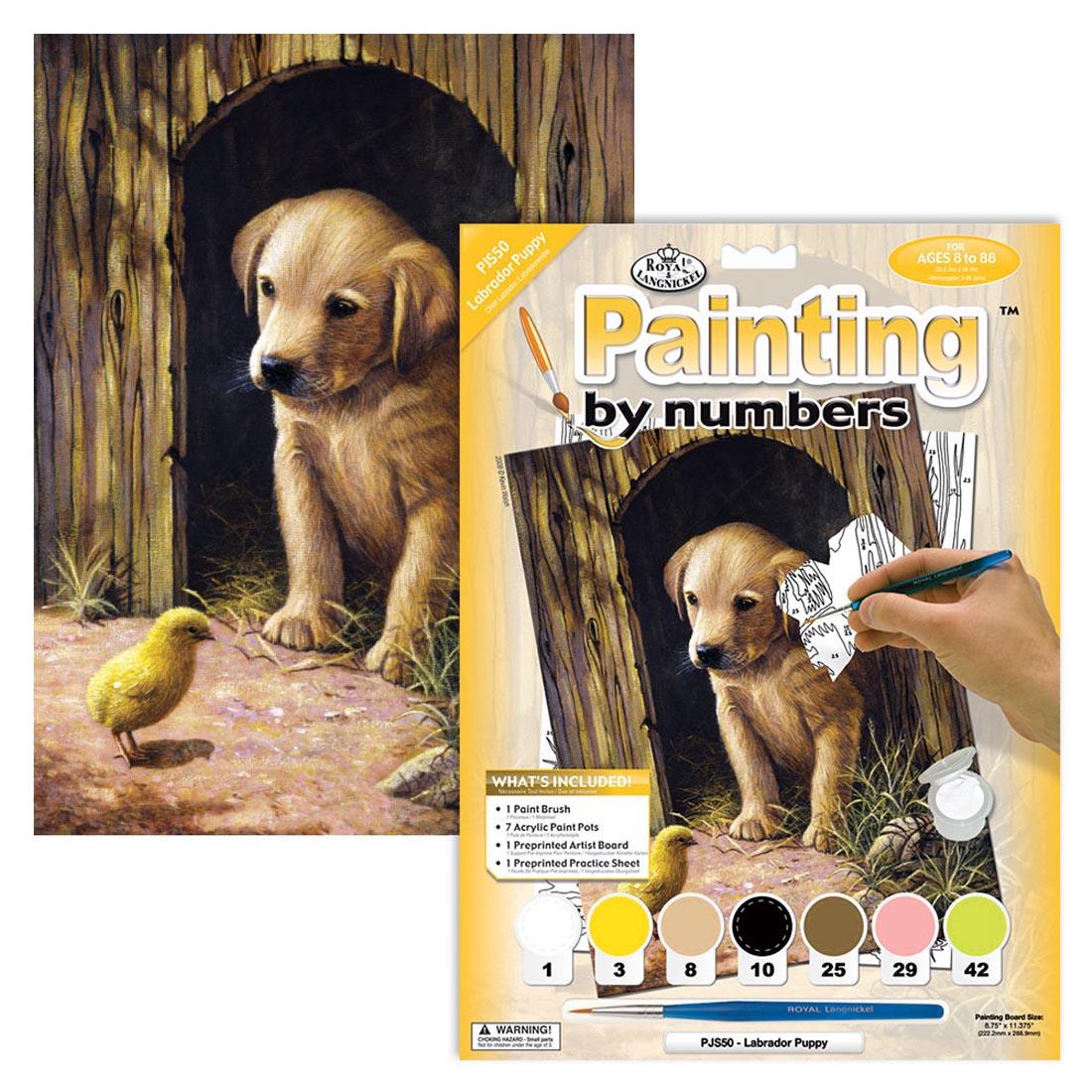 Royal & Langnickel Painting By Numbers Junior Small: Labrador Puppy set package with a completed painting behind it