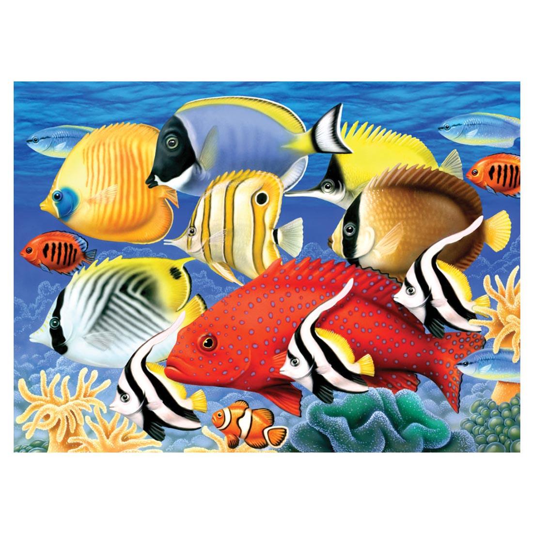 Completed painting from the Royal & Langnickel Painting By Numbers Junior Large: Tropical Fish