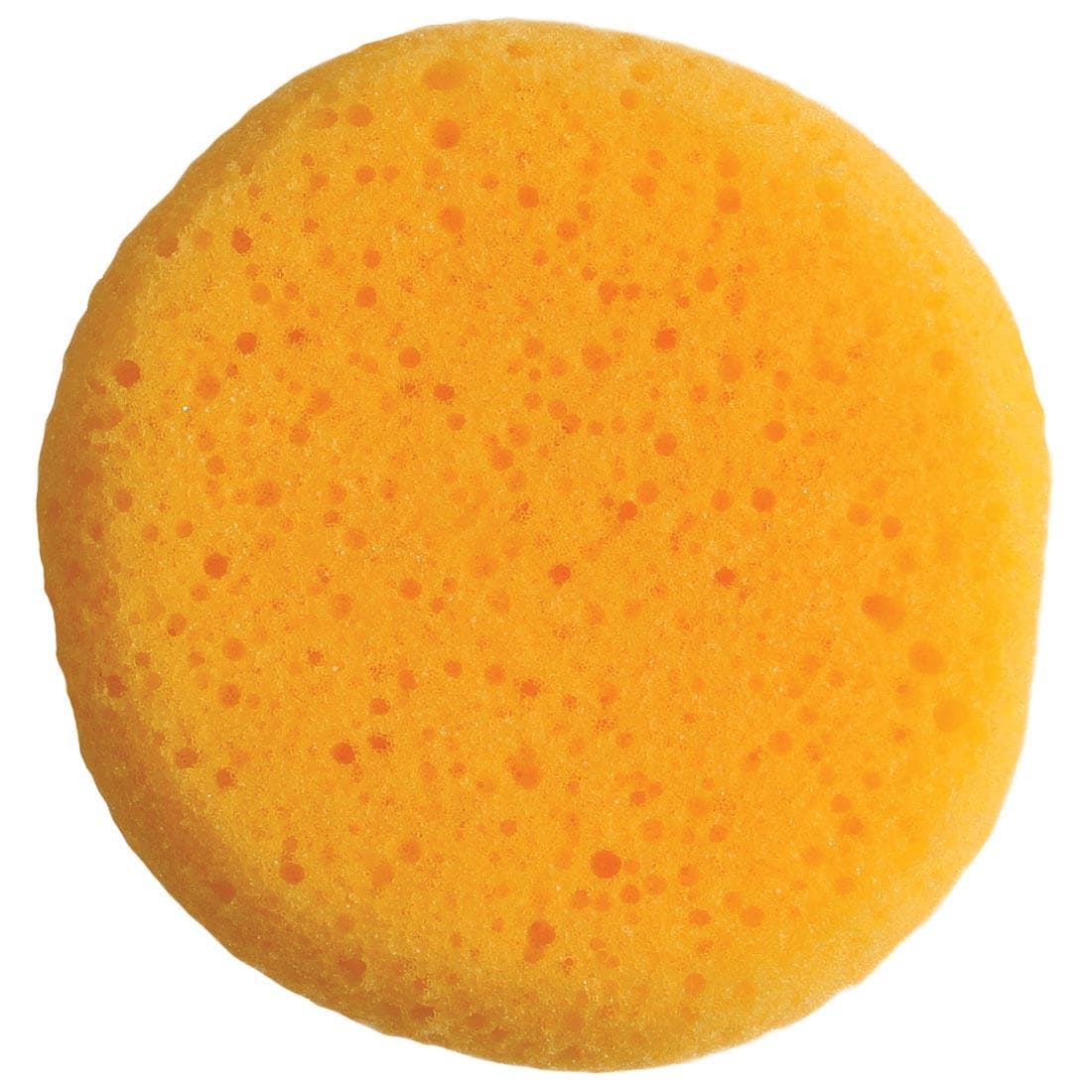 Synthetic Hydra Sponge