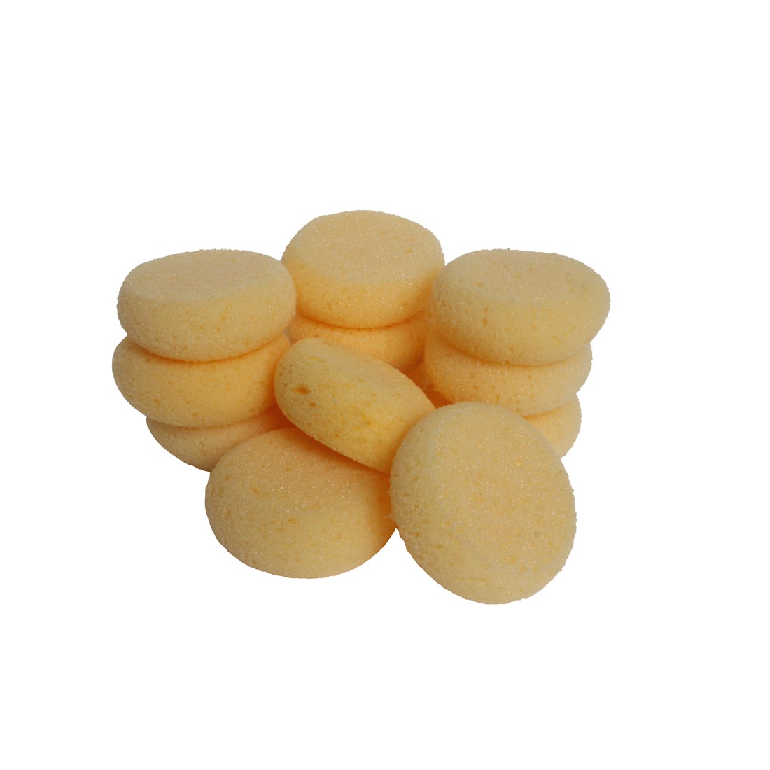 12 Synthetic Hydra Sponges