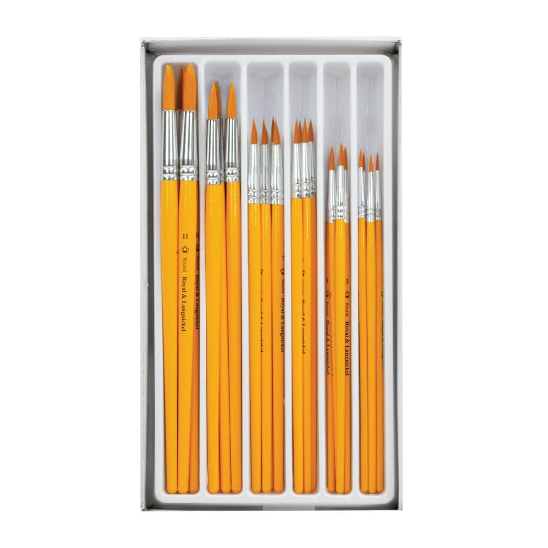 Royal & Langnickel Classroom Value Pack Round Golden Taklon Brush Collection, shown in tray with packaging lid removed