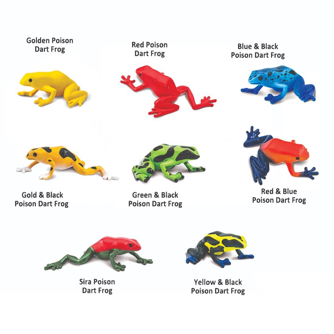 8 Poison Dart Frogs from the Toob Figurine Set labeled with their names: Golden, Red, Blue & Black, Gold & Black, Green & Black, Red & Blue, Sira and Yellow & Black