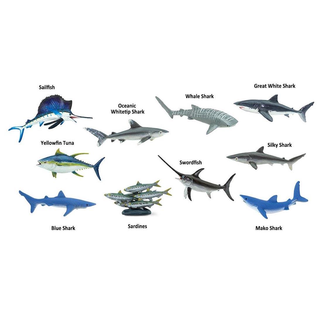 10 different fish found in the Pelagic Zone Figurine Set all labeled with their names: Sailfish, Yellowfin Tuna, Swordfish, Sardines; and sharks - Oceanic Whitetip, Whale, Great White, Silky, Blue, M