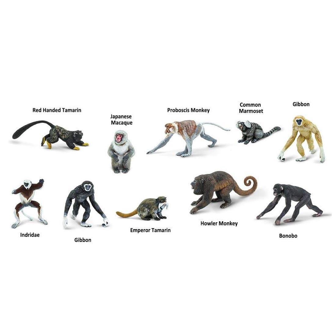 10 creatures from the Primates Figurine Set labeled with their names: Red Handed Tamarin, Japanese Macaque, Proboscis Monkey, Common Marmoset, Gibbon, Indridae, Emperor Tamarin, Howler Monkey, Bonobo