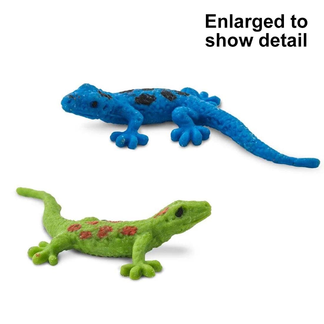 2 Day Gecko Good Luck Minis with text Enlarged to show detail