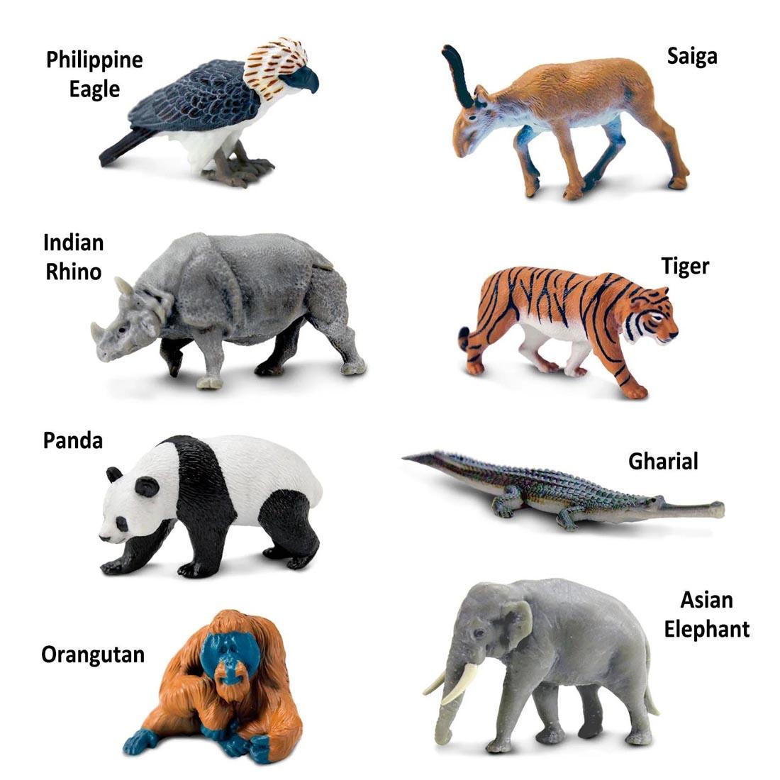 Asian Animals Toob Figurine Set, showing 8 different animals and their names