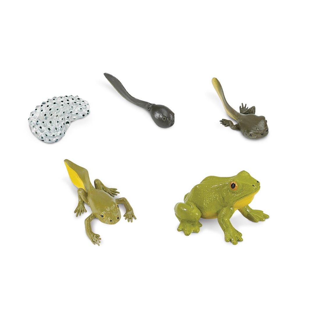 Figurines representing the Life Cycle of a Frog